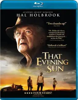 Watch and Download That Evening Sun 11