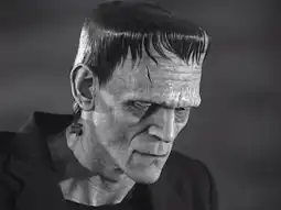 Watch and Download The 'Frankenstein' Files: How Hollywood Made a Monster 4