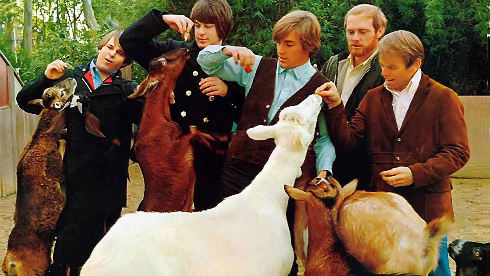 Watch and Download The Beach Boys: Endless Harmony 1