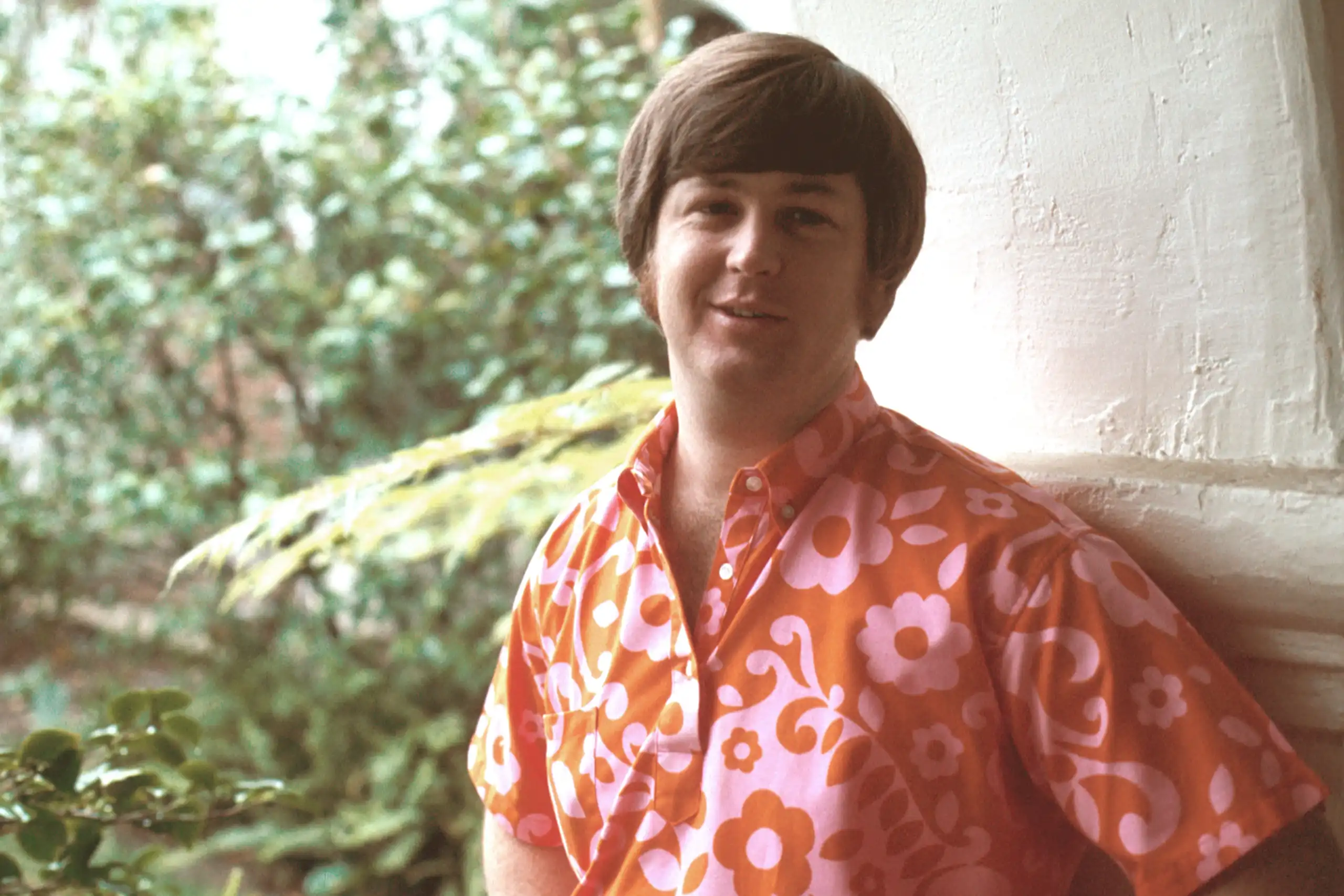 Watch and Download The Beach Boys: Endless Harmony 11