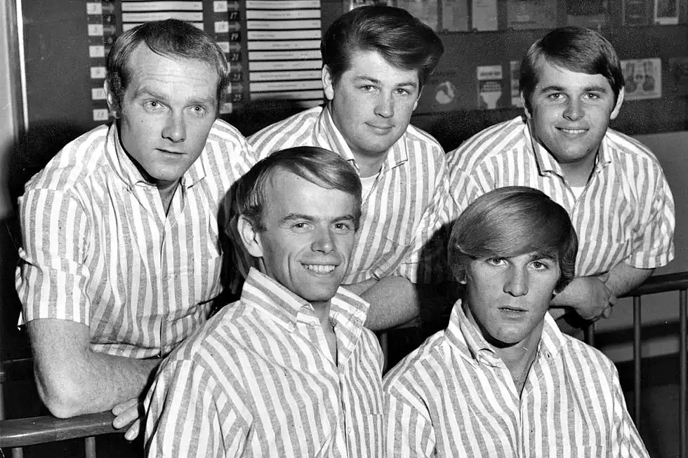Watch and Download The Beach Boys: Endless Harmony 6