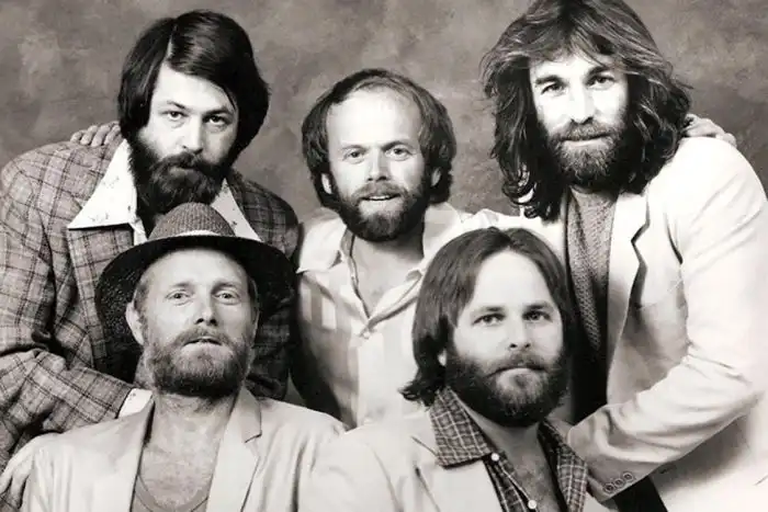 Watch and Download The Beach Boys: Endless Harmony 8