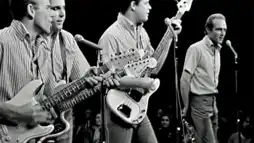 Watch and Download The Beach Boys: The Lost Concert 1