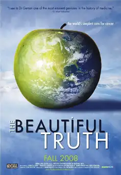 Watch and Download The Beautiful Truth