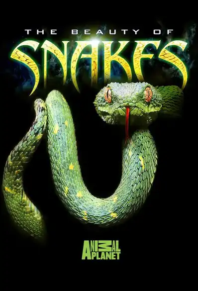 Watch and Download The Beauty of Snakes 11