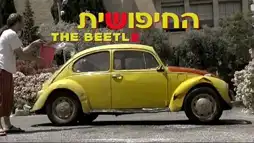 Watch and Download The Beetle 1