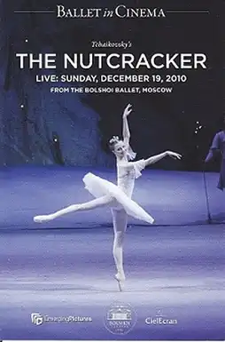 Watch and Download The Bolshoi Ballet: The Nutcracker 3