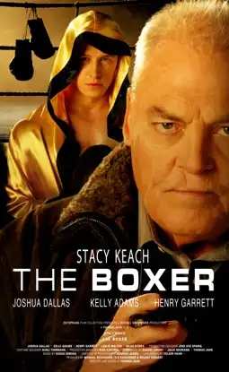 Watch and Download The Boxer 1