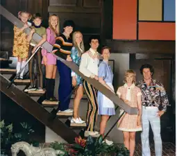 Watch and Download The Brady Bunch in the White House 3