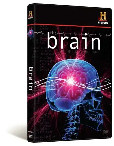 Watch and Download The Brain 1