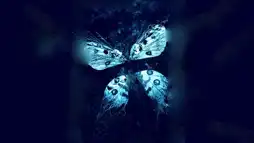 Watch and Download The Butterfly Effect 3: Revelations 3