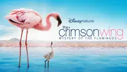 Watch and Download The Crimson Wing: Mystery of the Flamingos 1