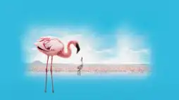 Watch and Download The Crimson Wing: Mystery of the Flamingos 2