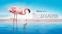 Watch and Download The Crimson Wing: Mystery of the Flamingos 3