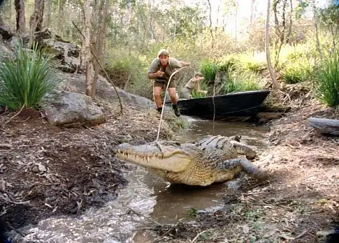 Watch and Download The Crocodile Hunter: Collision Course 16