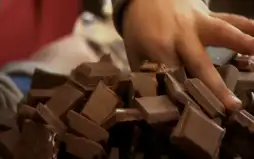 Watch and Download The Dark Side of Chocolate 1