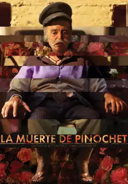 Watch and Download The Death of Pinochet 3
