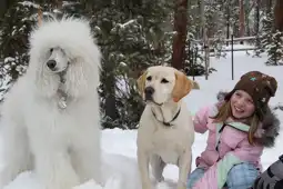 Watch and Download The Dog Who Saved Christmas Vacation 5