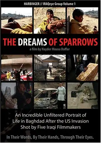 Watch and Download The Dreams of Sparrows 2