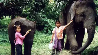 Watch and Download The Elephant Boy 1