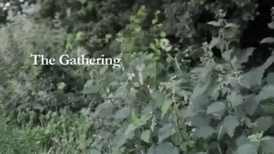 Watch and Download The Gathering 1