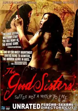 Watch and Download The Good Sisters 1