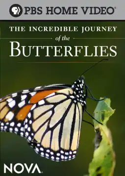 Watch and Download The Incredible Journey of the Butterflies 9