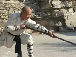 Watch and Download The Last Kung Fu Monk 10