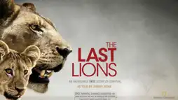 Watch and Download The Last Lions 1