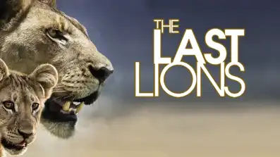 Watch and Download The Last Lions 7