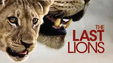 Watch and Download The Last Lions 8