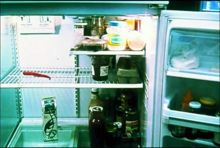 Watch and Download The Left-Hand Side of the Fridge 5