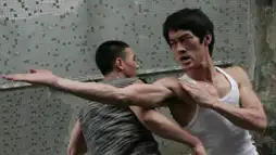 Watch and Download The Legend of Bruce Lee 1