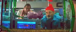 Watch and Download The Life Aquatic with Steve Zissou 4