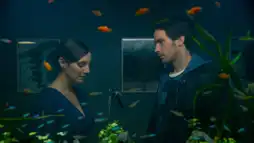 Watch and Download The Life of Fish 1