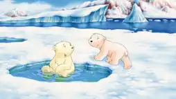 Watch and Download The Little Polar Bear 1