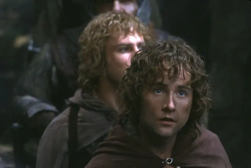 Watch and Download The Lord of the Rings: The Fellowship of the Ring 16