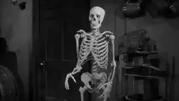 Watch and Download The Lost Skeleton of Cadavra 1