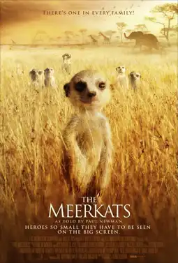 Watch and Download The Meerkats 2