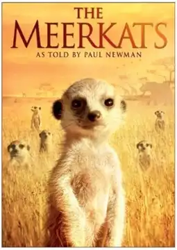 Watch and Download The Meerkats 3