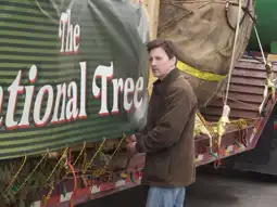 Watch and Download The National Tree 11