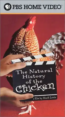 Watch and Download The Natural History of the Chicken 5