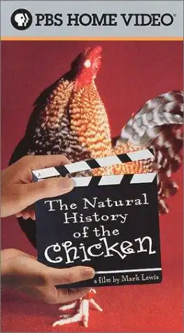 Watch and Download The Natural History of the Chicken 6