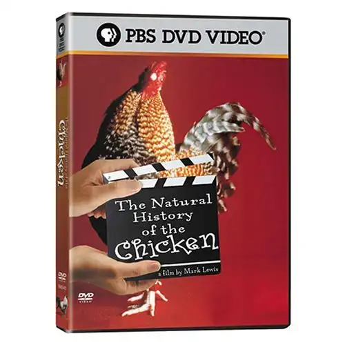 Watch and Download The Natural History of the Chicken 7