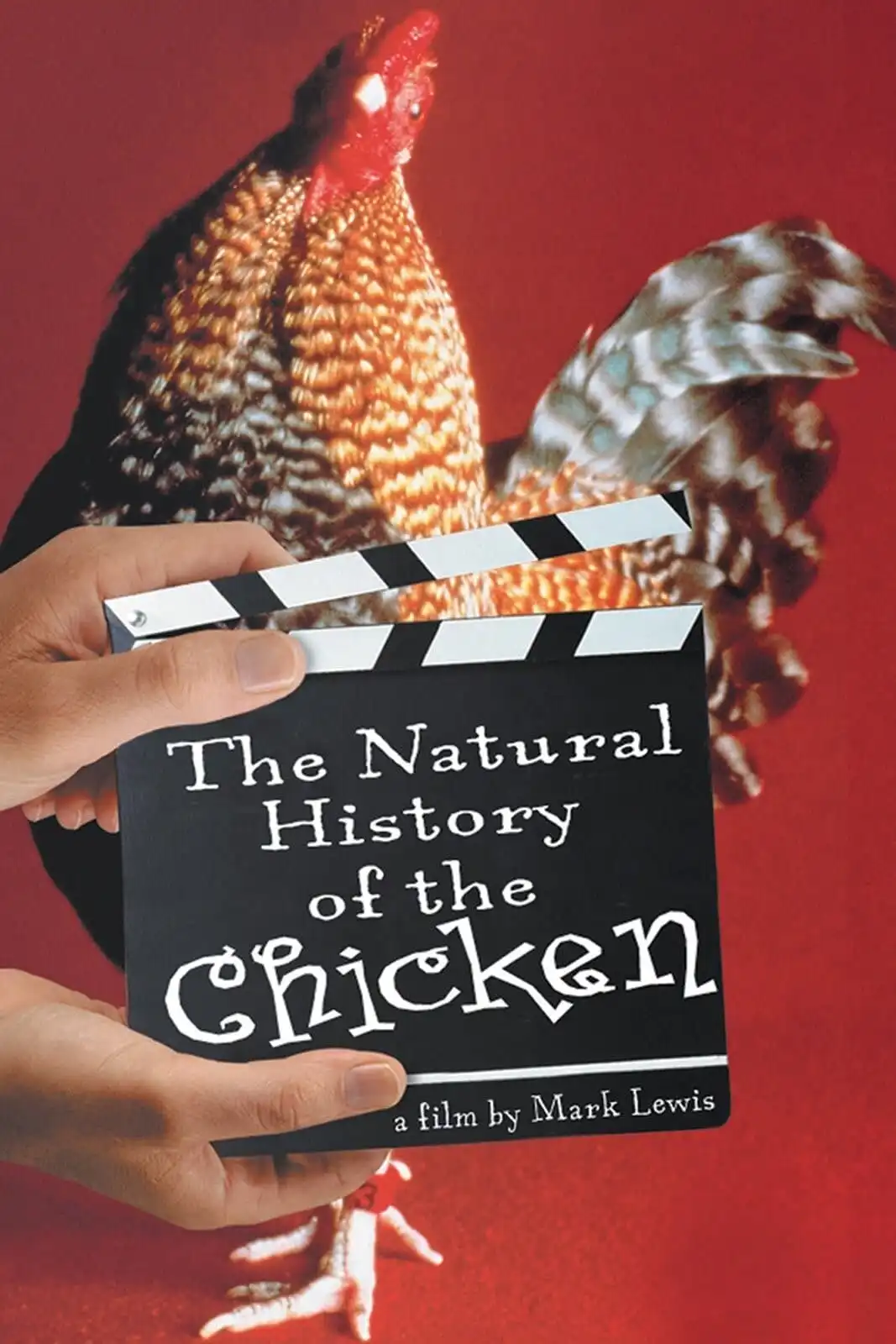 Watch and Download The Natural History of the Chicken