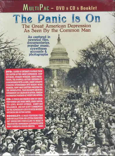 Watch and Download The Panic Is On: The Great American Depression as Seen by the Common Man 2