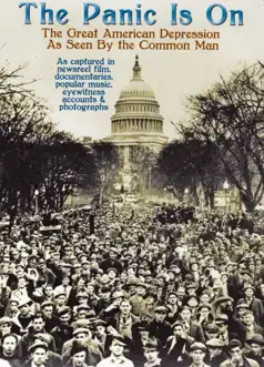 Watch and Download The Panic Is On: The Great American Depression as Seen by the Common Man