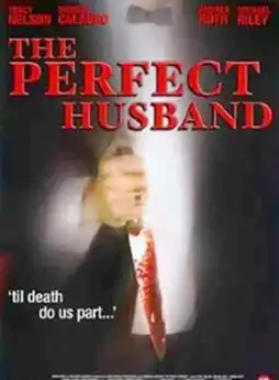 Watch and Download The Perfect Husband 2