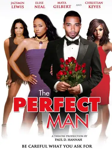 Watch and Download The Perfect Man 1