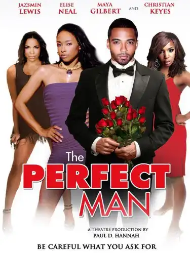 Watch and Download The Perfect Man 2